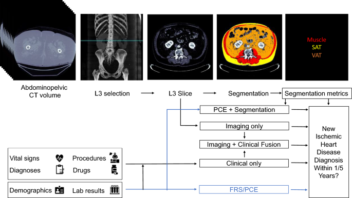 Opportunistic assessment of ischemic heart disease risk using abdominopelvic computed tomography and medical record data: a multimodal explainable artificial intelligence approach