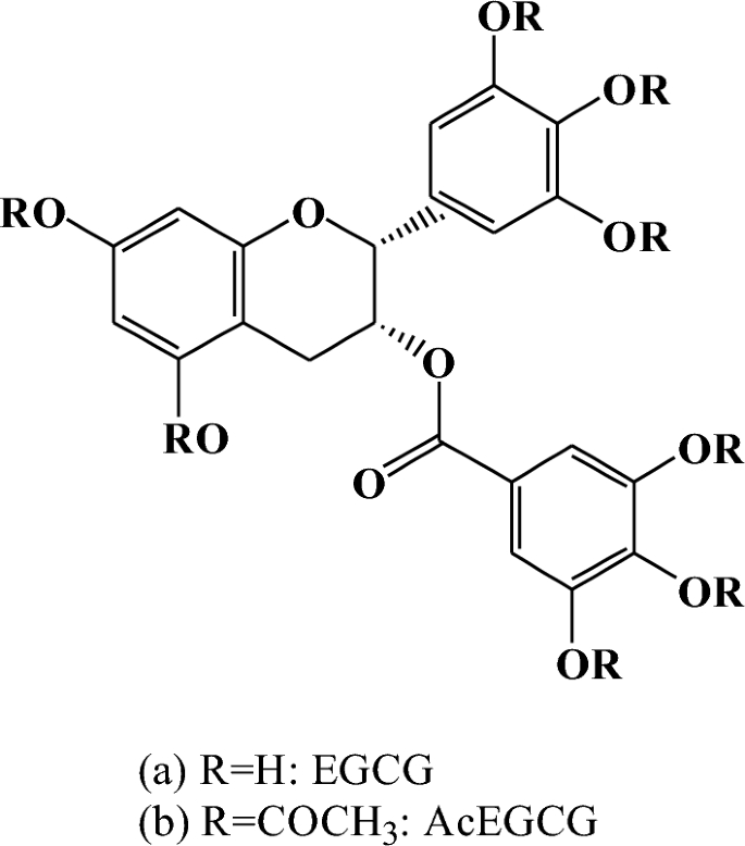 Separation and antioxidant activities of new acetylated EGCG compounds