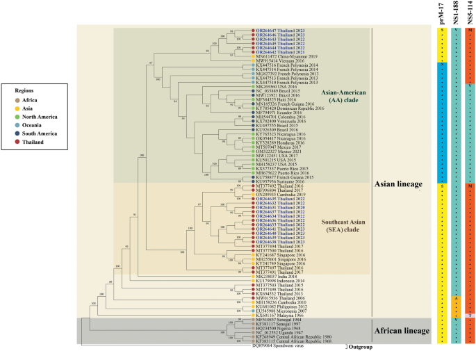 Molecular epidemiology, clinical analysis, and genetic characterization of Zika virus infections in Thailand (2020–2023)