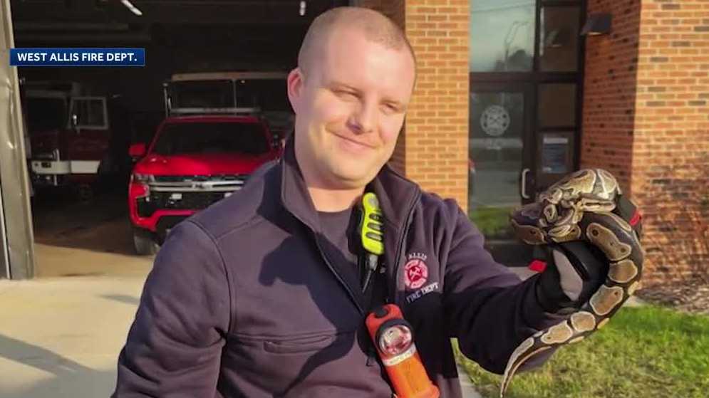 West Allis rookie firefighter rescues snake lost inside a man’s car