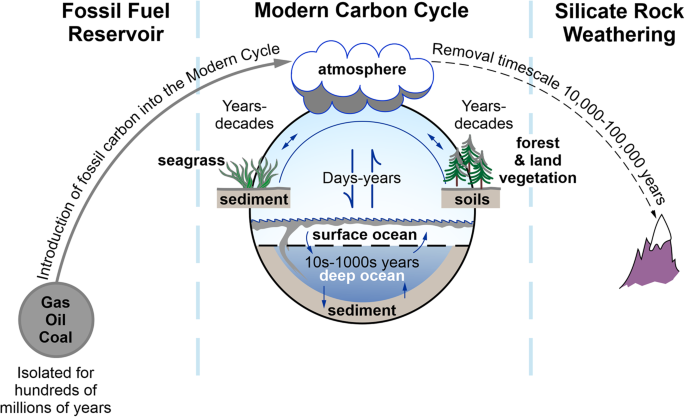 Why blue carbon cannot truly offset fossil fuel emissions