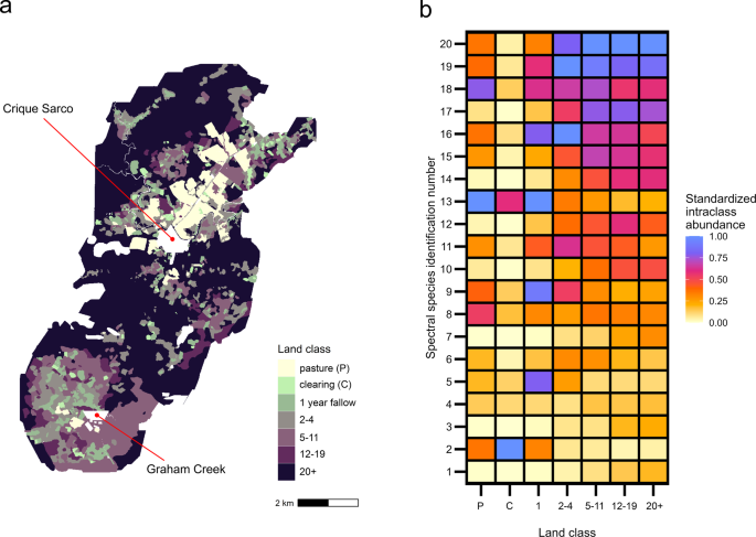 An intermediate level of disturbance with customary agricultural practices increases species diversity in Maya community forests in Belize