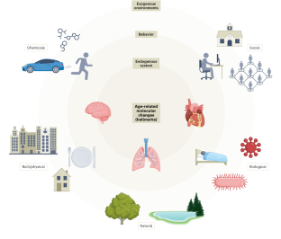 To promote healthy aging, focus on the environment