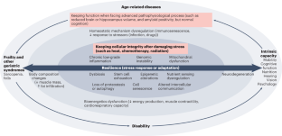 Looking at frailty and intrinsic capacity through a geroscience lens: the ICFSR & Geroscience Task Force