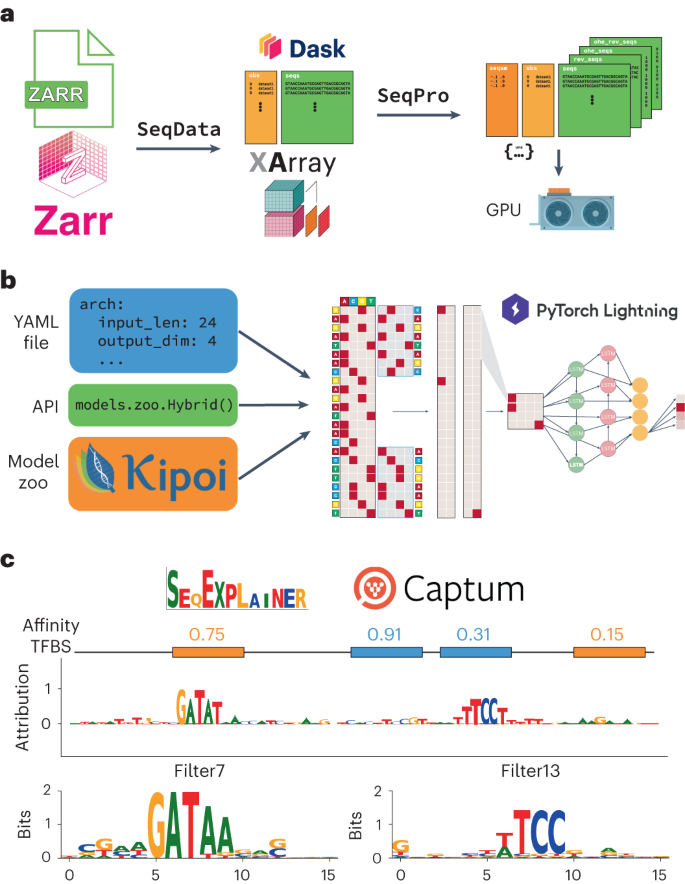 Predictive analyses of regulatory sequences with EUGENe