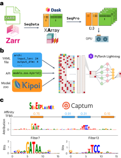 A software framework for end-to-end genomic sequence analysis with deep learning