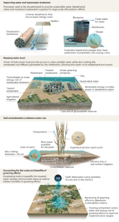 Greening initiatives in the Middle East can leverage urban infrastructure to enhance sustainable water use