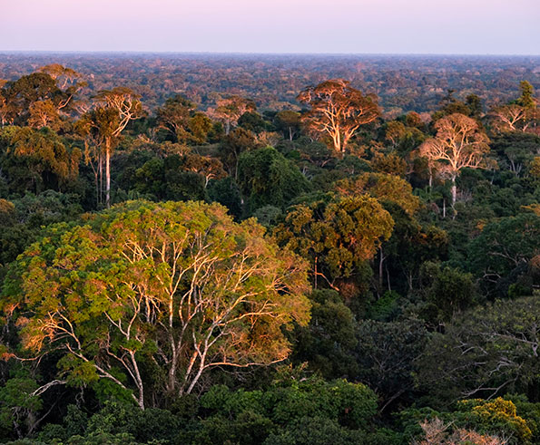 Researchers support Peruvian National Parks with help of $2.5M grant