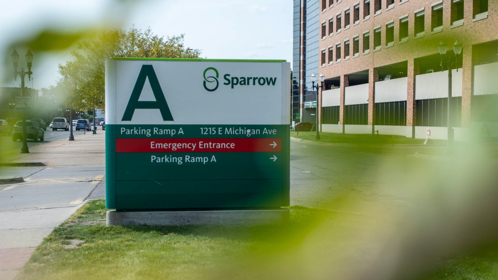 Sparrow supports employee mental health by targeting overall wellness
