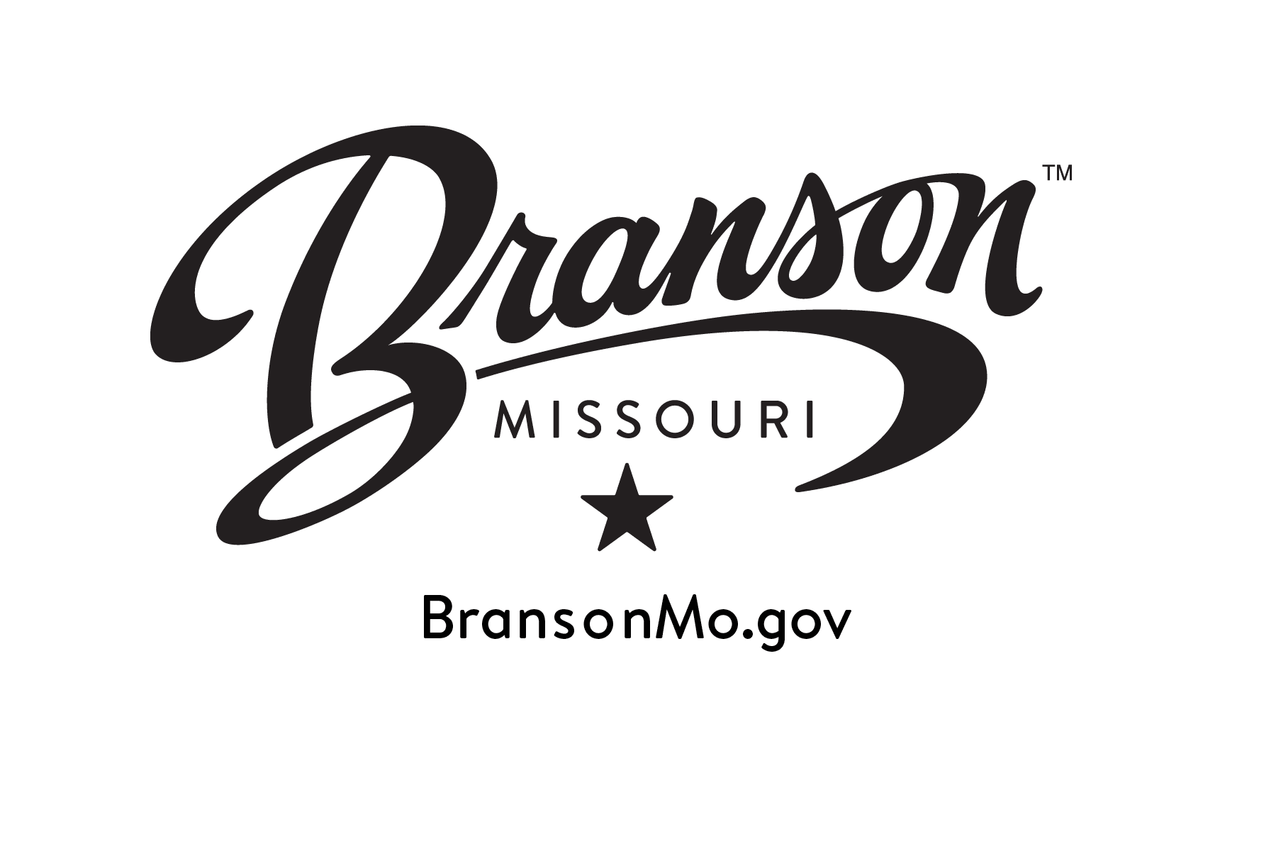 Branson Looks to Fill Finance Committee Vacancy