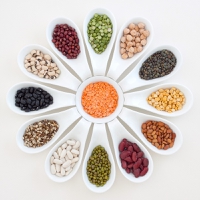 Alternative proteins: Pulses poised for growth while new technologies projected to drive taste, texture and nutrition