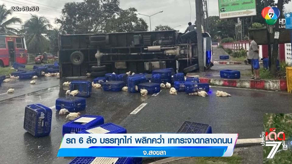ข่าวรถ 6 ล้อ บรรทุกไก่พลิกคว่ำ เทกระจาดกลางถนน จ.สงขลา