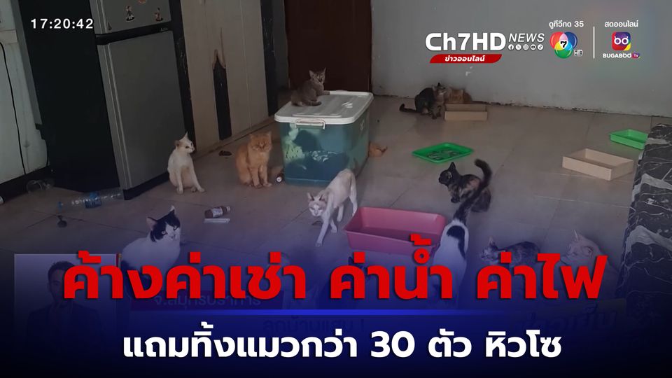 ข่าวลูกบ้านแสบ! ค้างค่าเช่า ค่าน้ำ ค่าไฟ แถมทิ้งแมวกว่า 20 ตัว จ.สมุทรปราการ