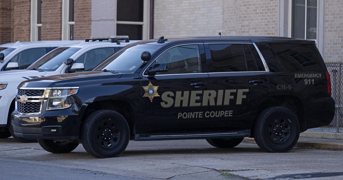 Loose horse causes car crash in New Roads, Point Coupee Sheriff says