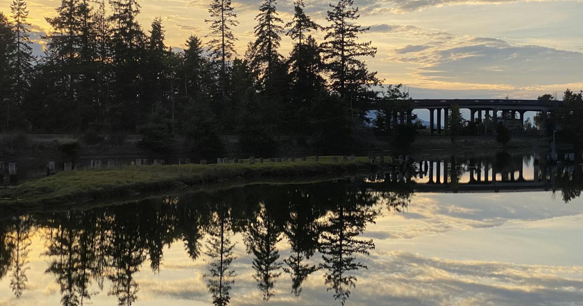 Skagit Conservation District receives grant for Colony Creek