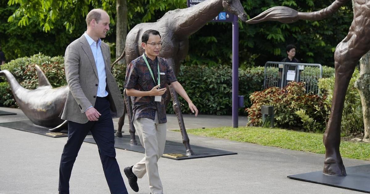 Celebrities join Prince William on the Singapore green carpet for his Earthshot Prize awards