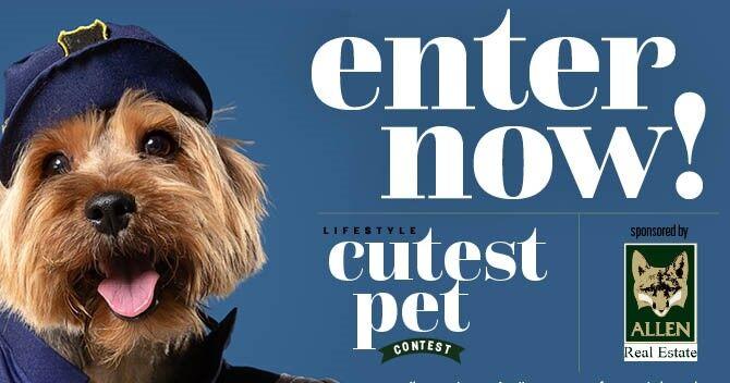 Does Your Pet Belong On the Cover of Haymarket-Gainesville Lifestyle Magazine?  Enter the 2024 Cutest Pet Contest!