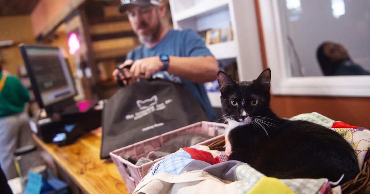 Cat lovers, book lovers come together at new Pittsburg store