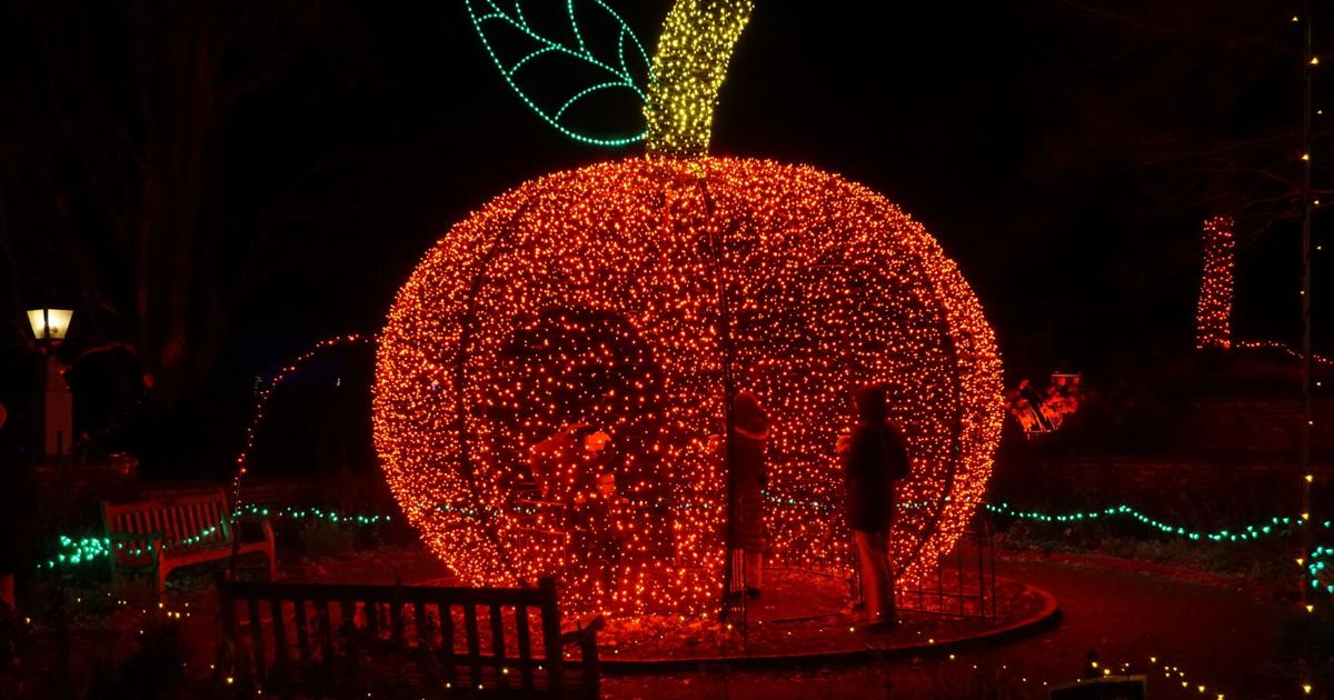 Winter Lights display opens at Landscape Arboretum