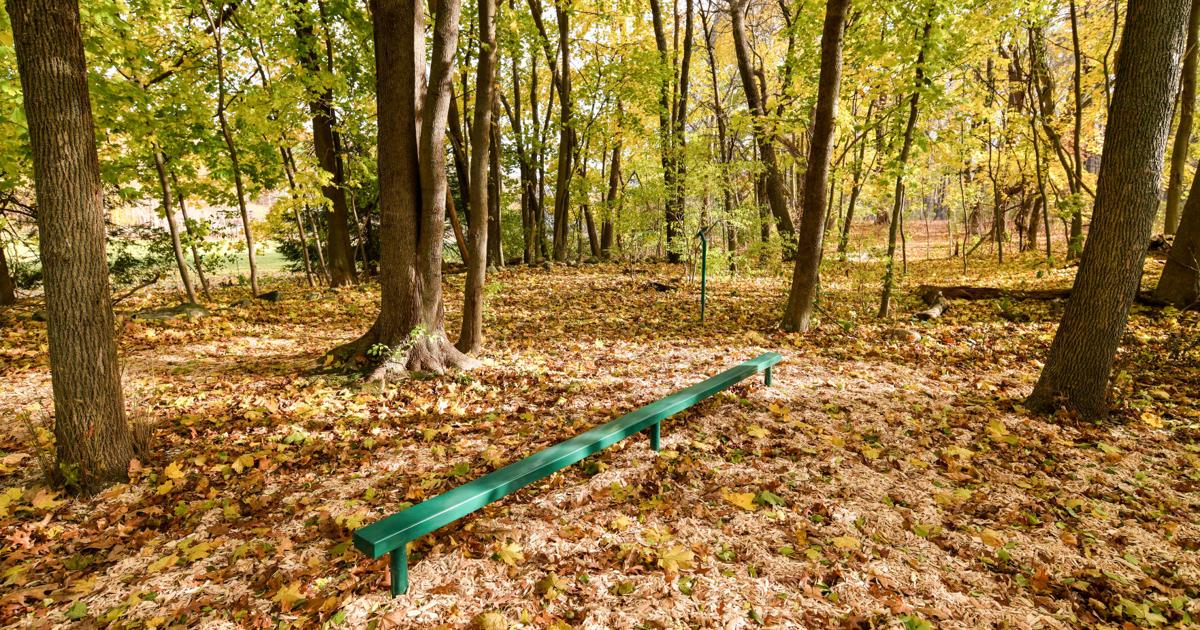 New fitness trail opens at Endicott Park