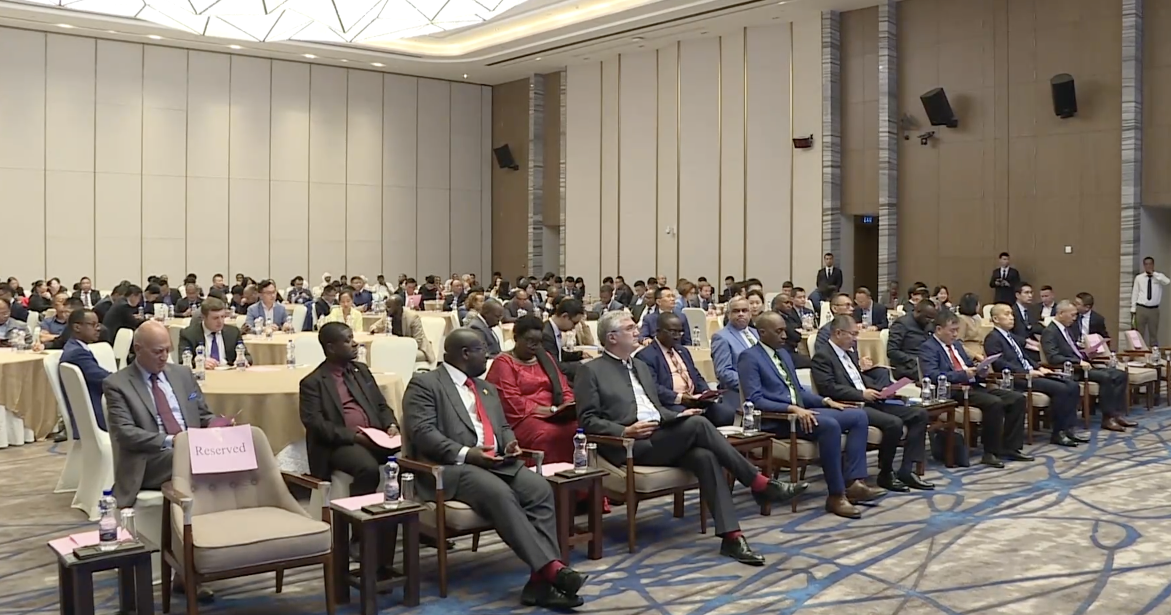 China, Africa pledge financial support to bolster high-quality BRI cooperation