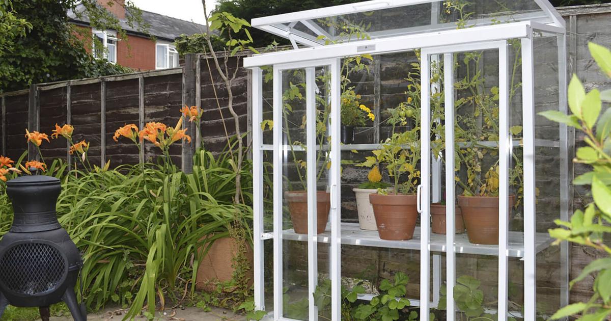 A dozen fresh-picked holiday gift ideas for gardeners