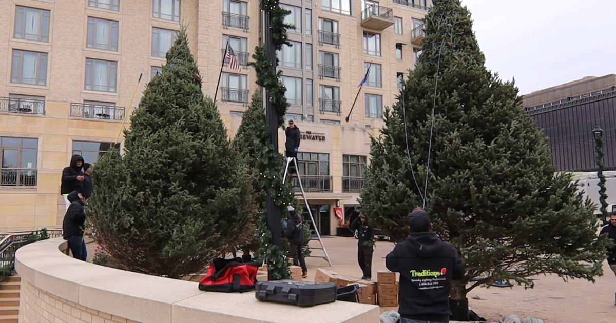 Holiday trees to shine brightly at 9th Annual Holiday Tree Lighting