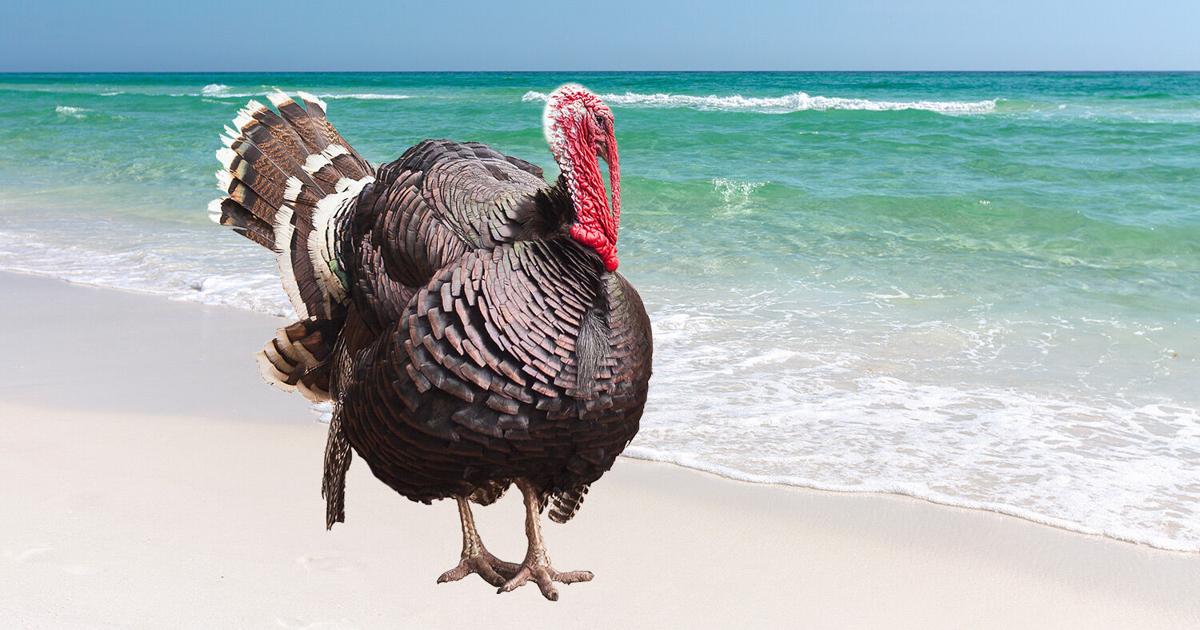 People, things, places and events to be thankful for