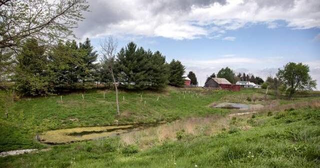 Illinois wetland mitigation bank program growing