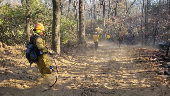 Is there anything good about wildfires? Experts talk about benefits of WNC wildfires