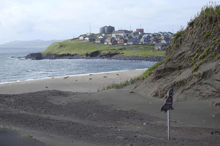 Indigenous Scientists on St. Paul Island, Alaska Work To Protect Marine Mammals