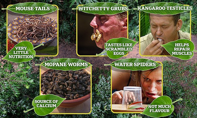 Fancy a Bushtucker Diet? Here’s what creepy-crawlies do to the body