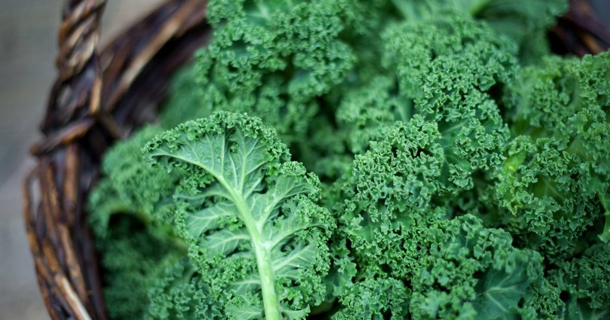35 best foods for strong, healthy bones