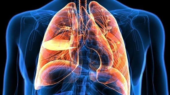 Delhi Pollution: How to take care of your lungs; dietary tips and lifestyle changes