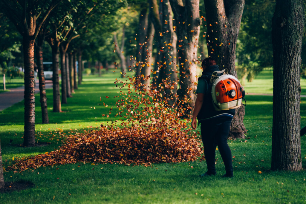 Study: Gas-powered lawn mowers and leaf blowers in Md. produce as much pollution as long car trips