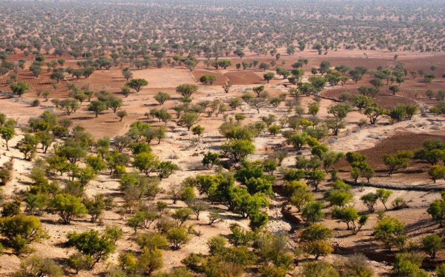 How the world’s driest region is adapting to the climate crisis