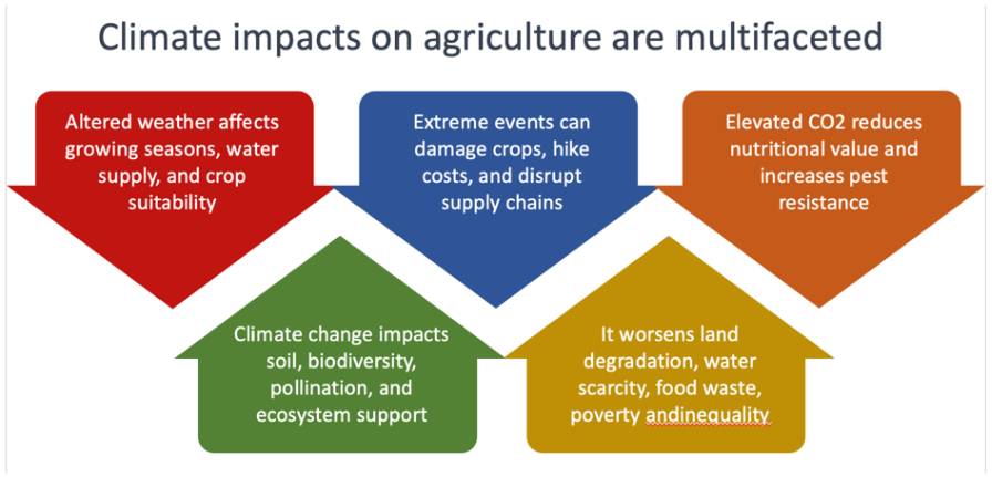 The Future of Agriculture Is Climate-Smart Agriculture