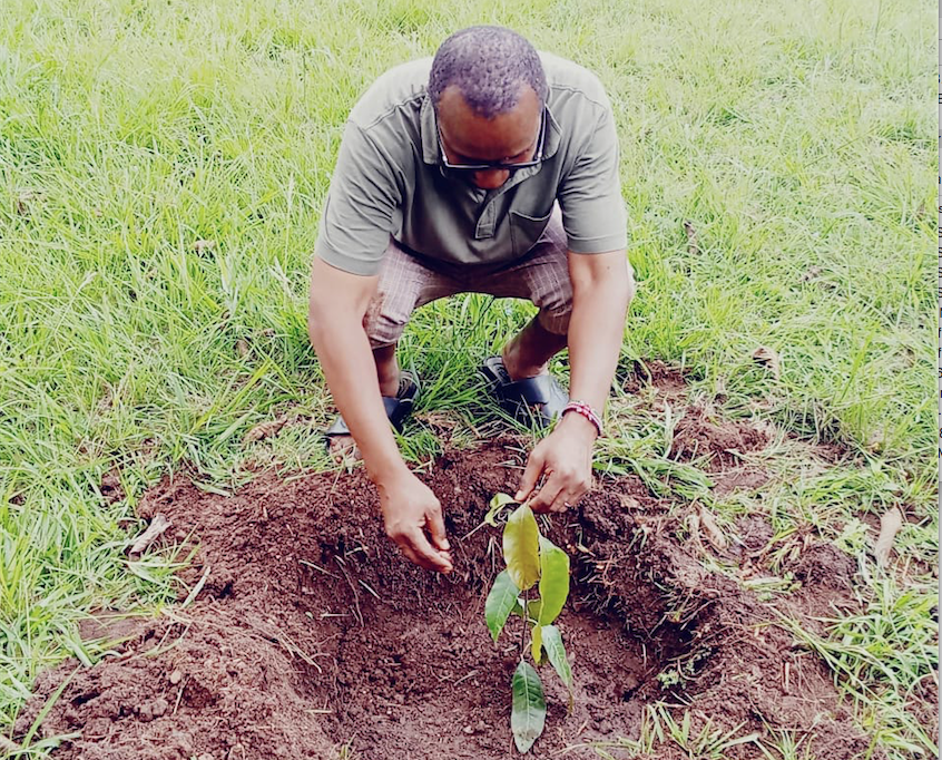 Nature, nurture and the literary connection