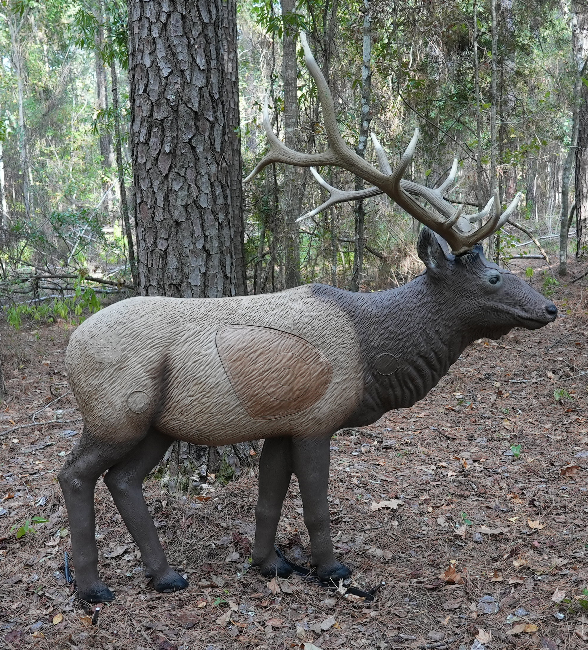 New 3D Targets Installed on Woodworth Archery Ranges | Louisiana Department of Wildlife and Fisheries