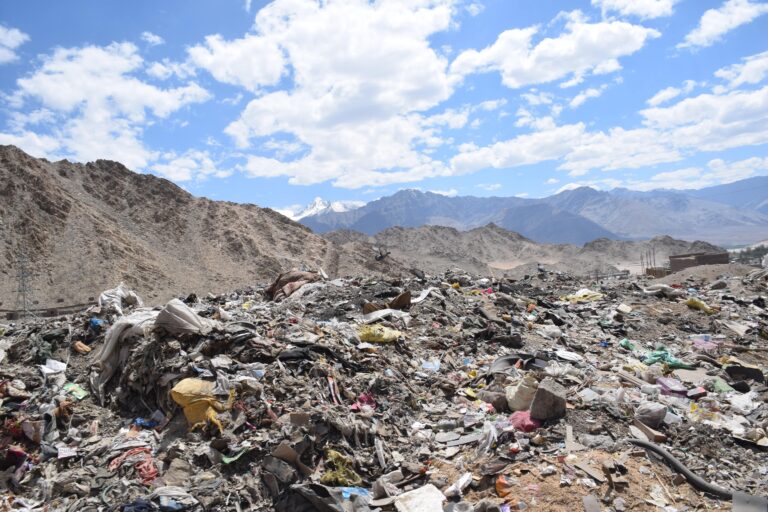 Your Environment This Week: Porcupines in saffron fields, Balancing conservation and national security, Waste management in Ladakh