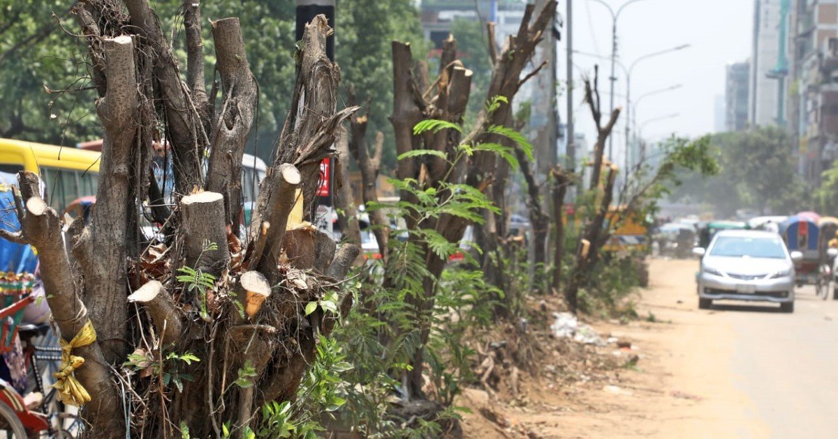 Cut it out on the tree-felling, please