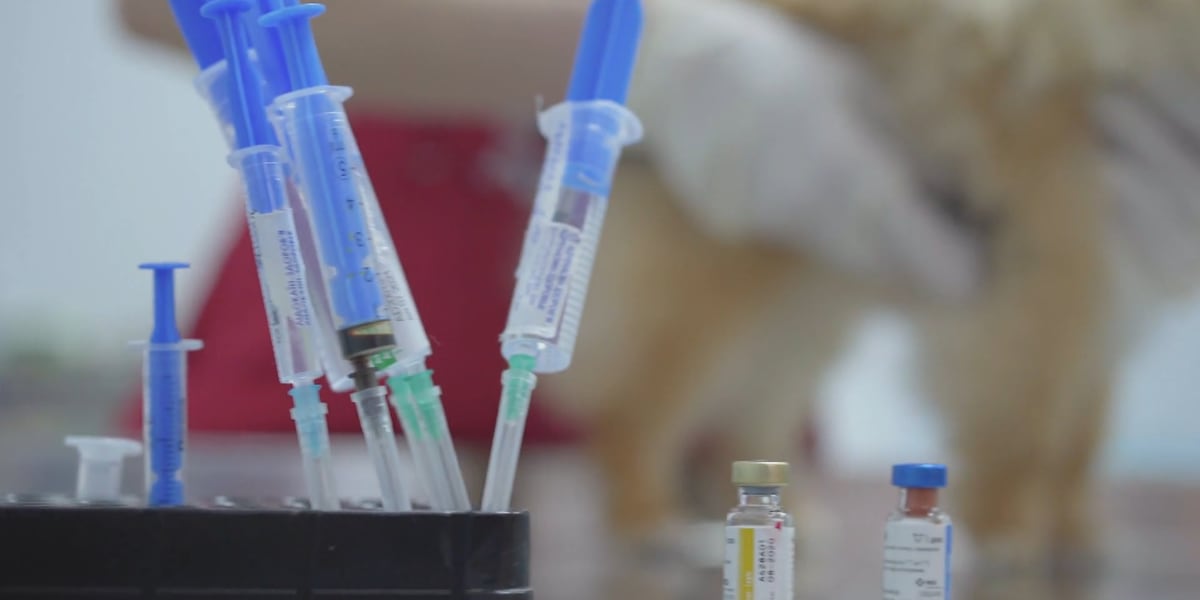 Lincoln Animal Control reminds residents to vaccinate pets against rabies