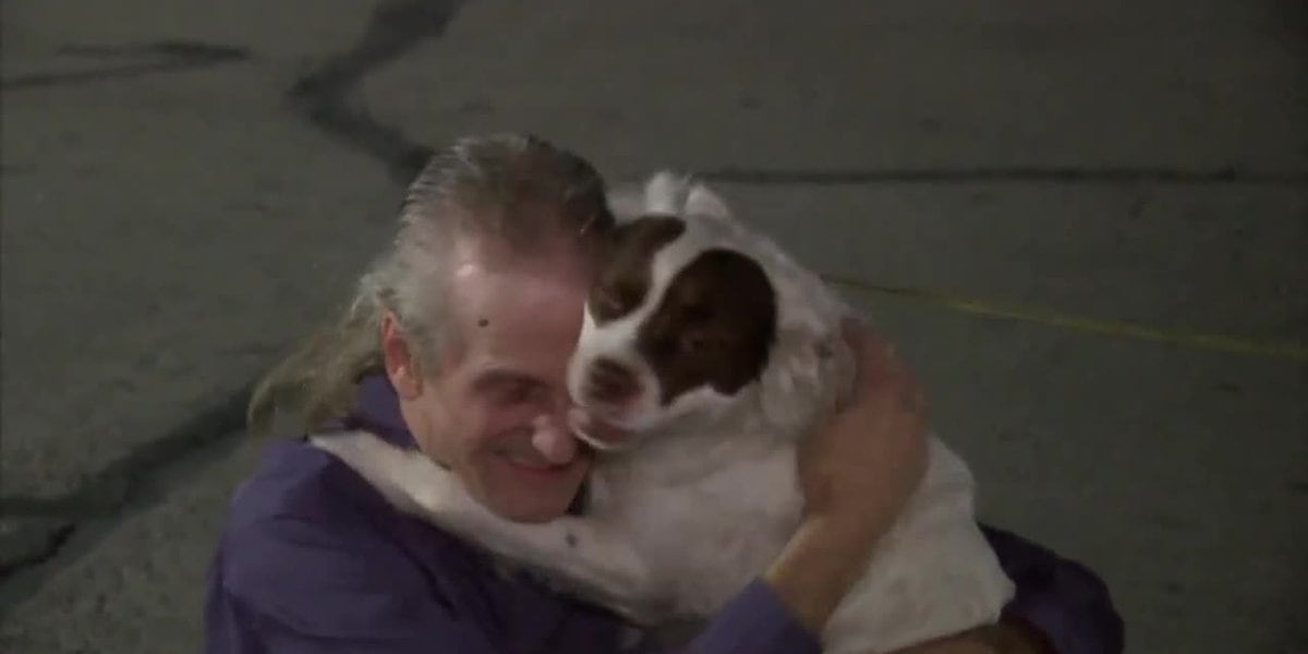 Man reunited with daughter’s dog weeks after she died in a car crash during move