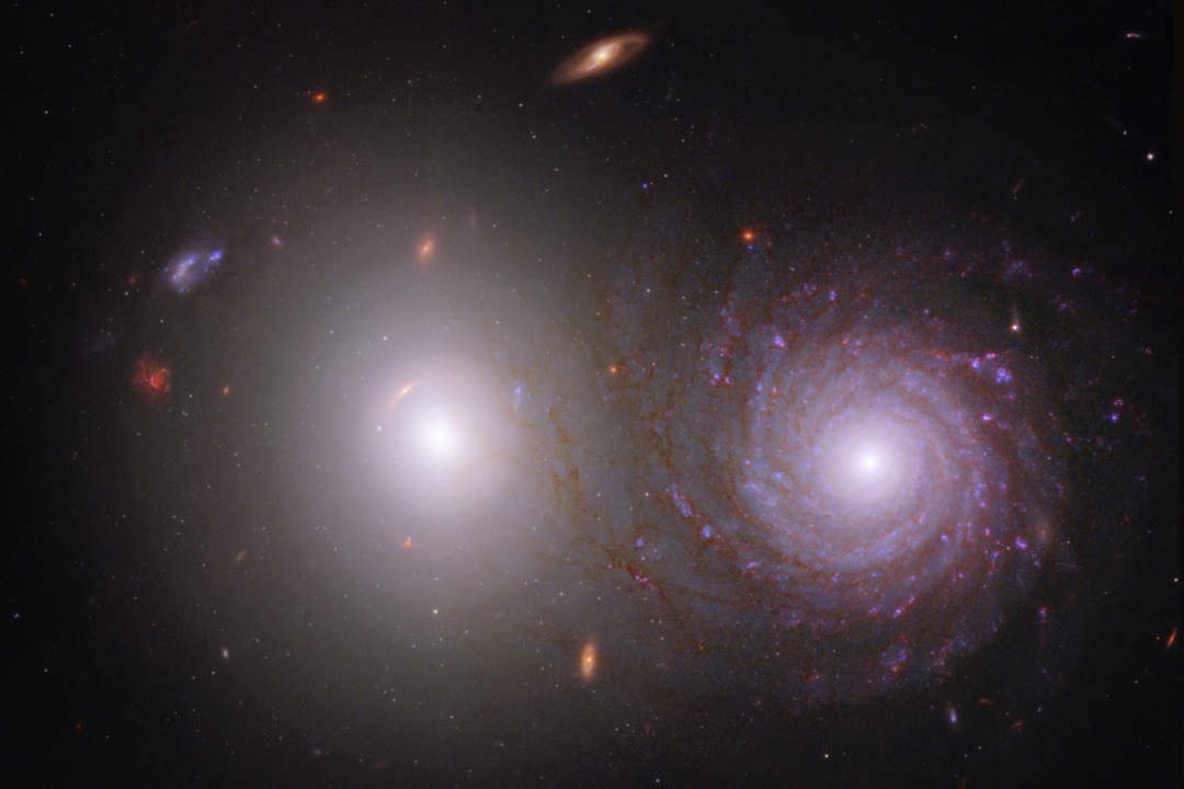 Why Milky Way-type galaxies are rare in our local universe