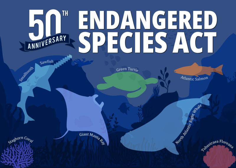 Great Lakes Moment: A Detroit perspective on the 50th anniversary of the Endangered Species Act