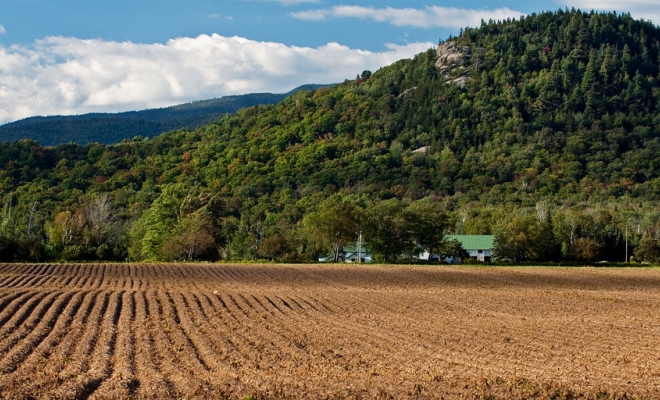 Governor Hochul Announces Nearly $16 Million to Help New York Farms Address Impacts of Climate Change