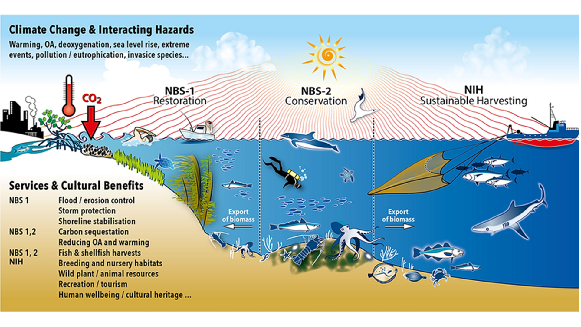 Safeguarding future marine biodiversity and ecosystem services under climate change (FutureMARES)