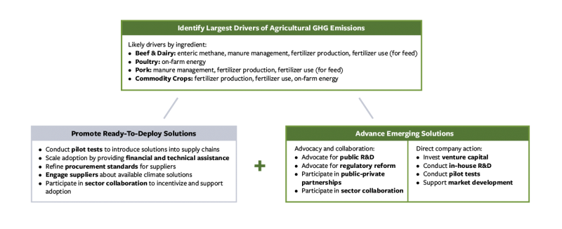 New Ceres report outlines innovative solutions for companies to reduce agricultural emissions