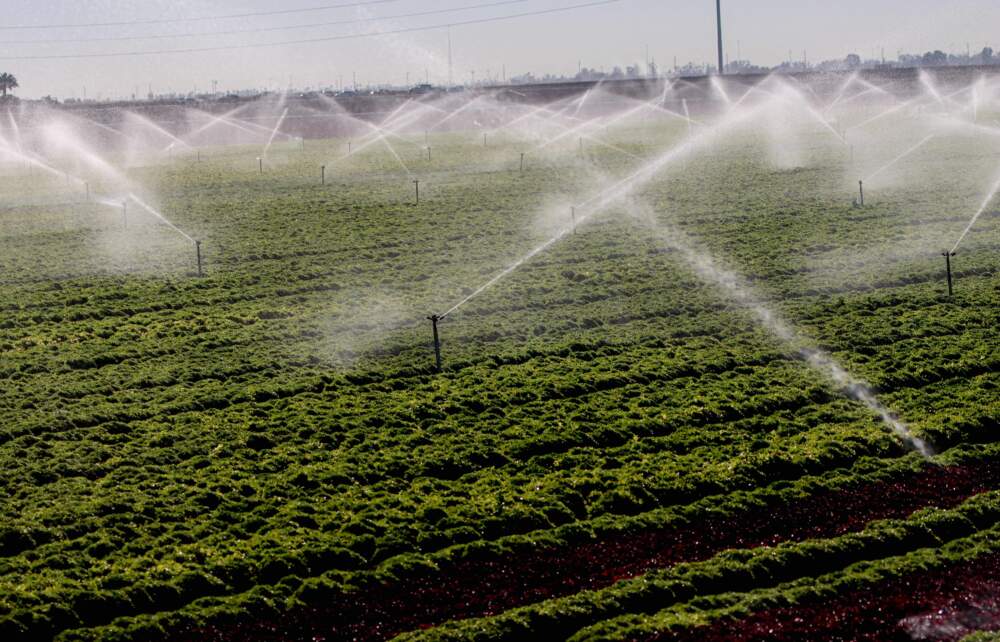 In California, 20 farming families use more water than some Western states