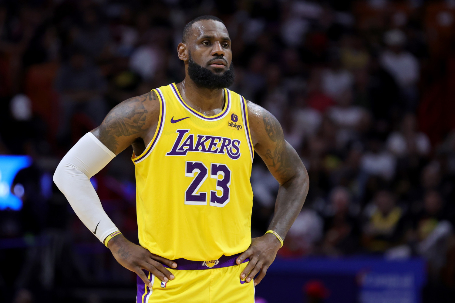 NBA News & Fantasy Basketball Notes 11/12